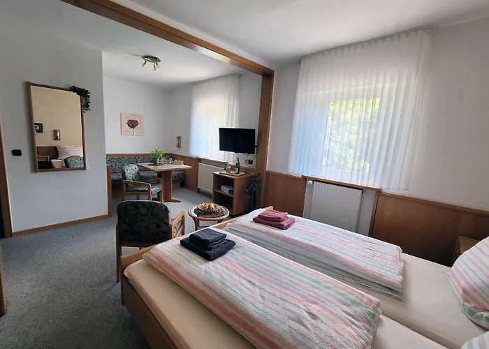 招待所 豪斯赫斯贝格酒店 3*